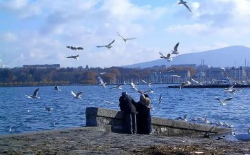 与书相伴的演讲稿8篇