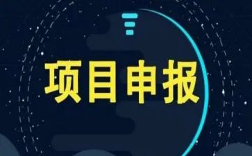 项目办工作总结模板7篇