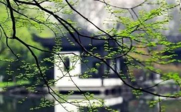 我想起这件事我就哭作文400字8篇