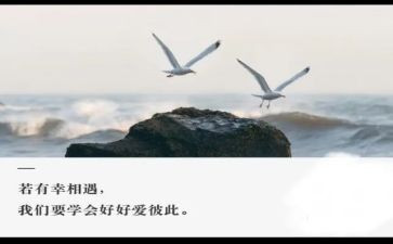 相遇作文5篇