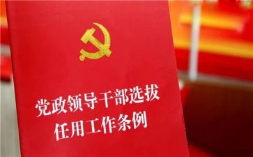 乡镇干部年个人总结5篇