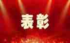 个人先进个人总结最新6篇