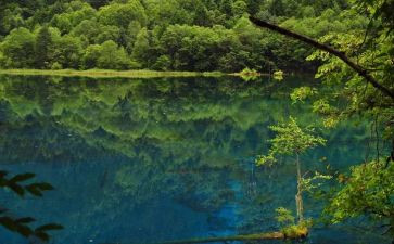 亲爱的汉修先生读后感5篇