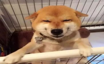 关于微笑的天演讲稿7篇