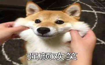 笑对生活作文500字最新6篇