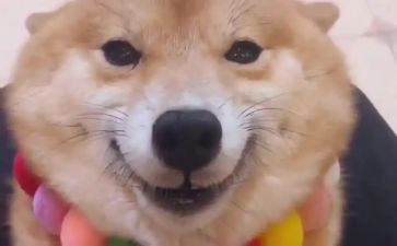 微笑日的演讲稿通用5篇