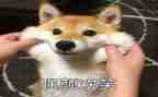笑的读后感300字精选7篇