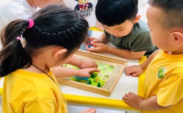接小班的工作计划最新8篇