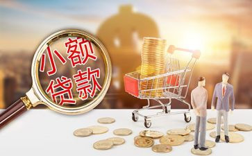 小额贷的工作计划8篇