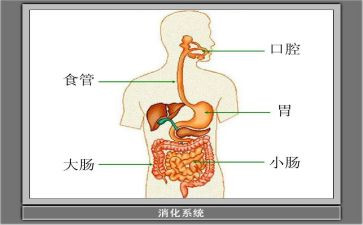 消化内科心得体会8篇