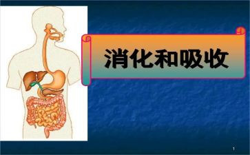 消化内科的个人总结6篇