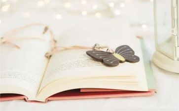 黑鹤动物小说读后感7篇