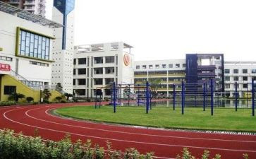 对小学教育的心得体会8篇