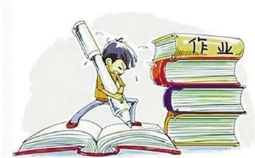 双减小学作业活动总结7篇
