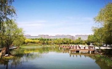 安全校园演讲稿精选6篇