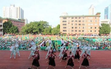 学校运动活动方案最新6篇
