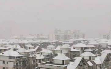 下雪的作文500字6篇