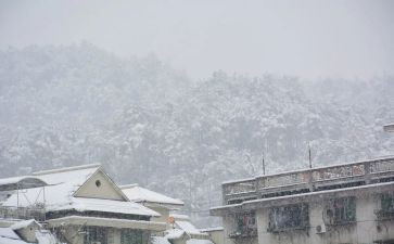 下雪的作文200字8篇