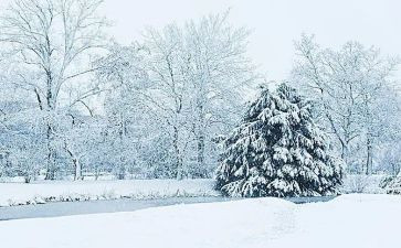 下雪作文500字7篇