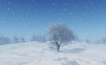 下雪天作文600字6篇