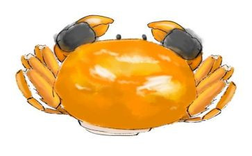 小螃蟹爬小班教案7篇