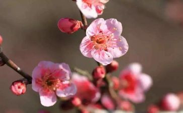 写物理老师的作文6篇