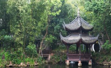 写物的优秀作文模板5篇