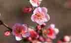 写物理老师的作文6篇
