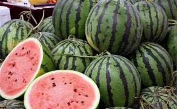 小班西瓜的教案通用7篇