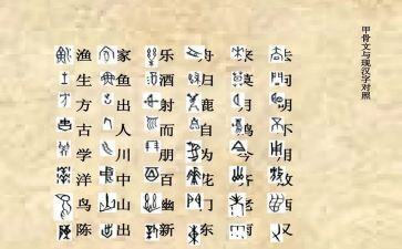形近字教案推荐6篇