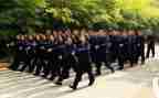 新警从警心得体会8篇