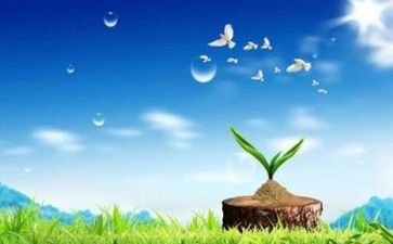 心理教师心得最新7篇