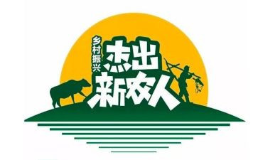 新农村实践报告7篇