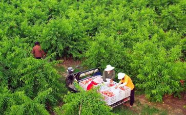 最新农村房屋买卖合同5篇