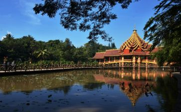 去西双版纳旅游心得体会6篇