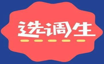 2024年选调生个人总结5篇