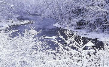 雪读后感400字优秀7篇