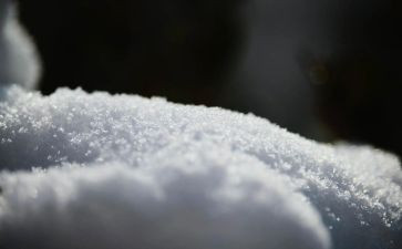 关于雪的演讲稿500字通用7篇