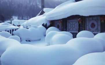 《雪》读后感200字模板5篇