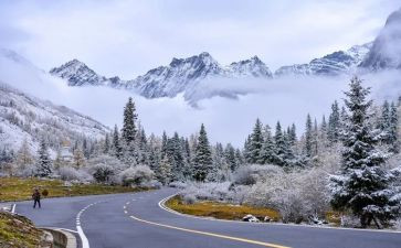 除雪社会实践活动心得体会优秀5篇