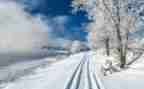 雪的读后感100字6篇