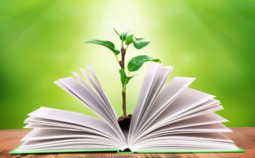 2024年教学工作总结和2024年工作计划8篇