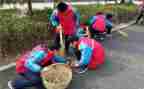 学雷锋青协活动总结6篇