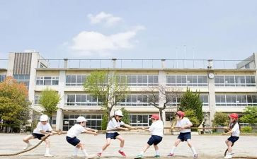 大学生创业的心得体会参考6篇