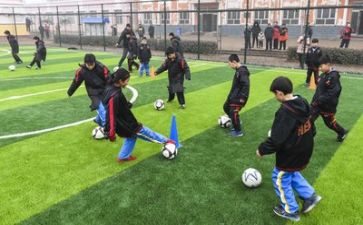 学习郑心得体会推荐7篇