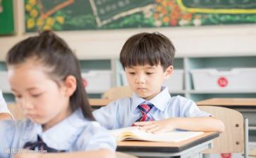 讲故事学习心得体会8篇