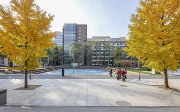 学校安全工作总结模板6篇