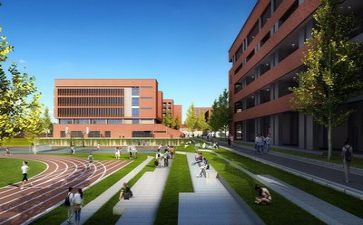 学校都导室工作计划6篇