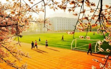 学校全员培训工作计划5篇
