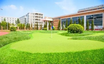 学校2.0培训计划参考7篇